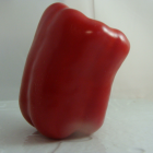poivron bio- Du Panier &agrave; l'Assiette