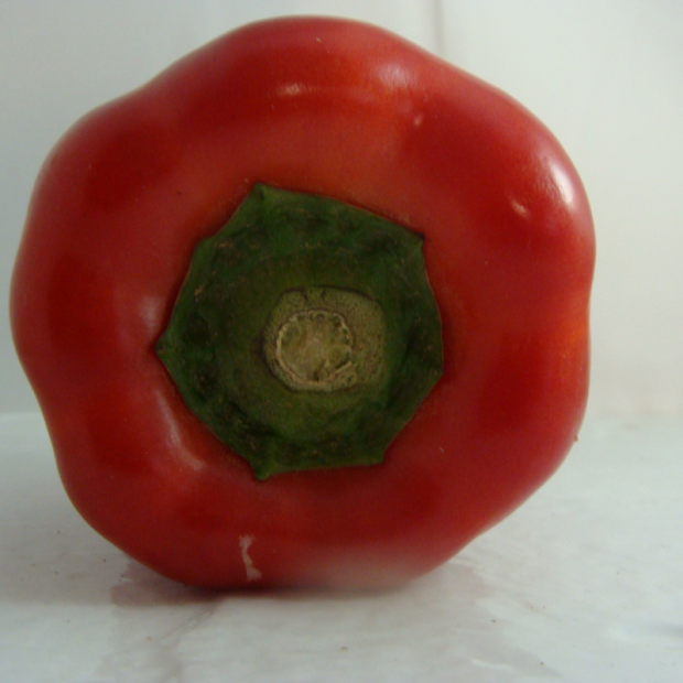 poivron bio- Du Panier &agrave; l'Assiette