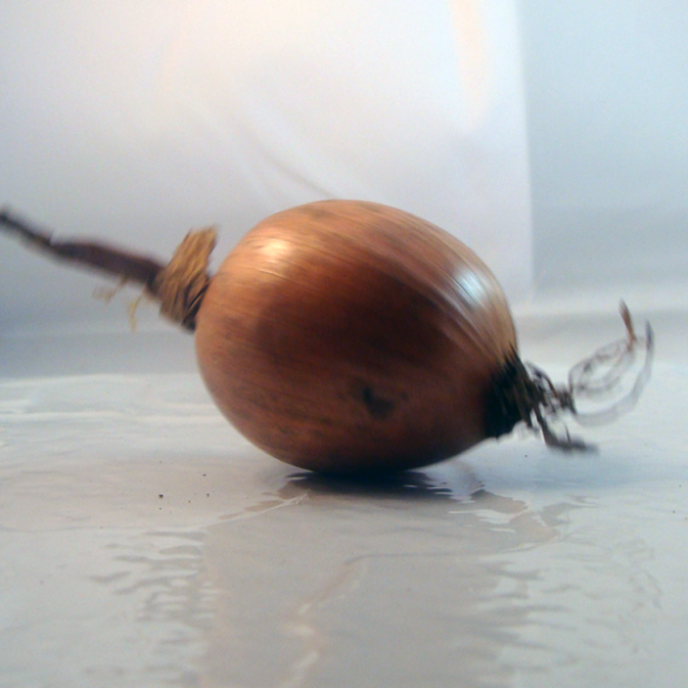 Oignon rose breton bio- Du Panier à l'Assiette