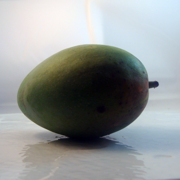 Mangue Bio - Du Panier &agrave; l'Assiette