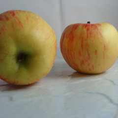 Pomme Elstar x 550g