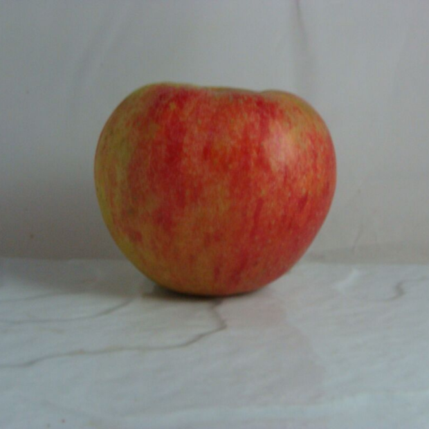 Pomme Elstar Bio - Du Panier &agrave; l'Assiette