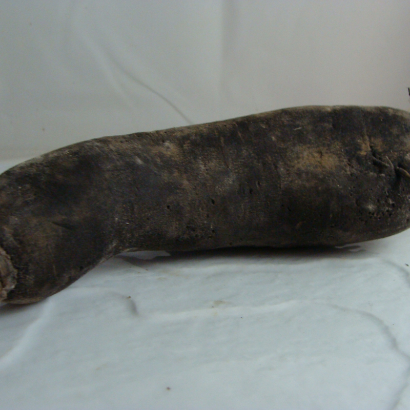 radis noir bio- Du Panier à l'Assiette