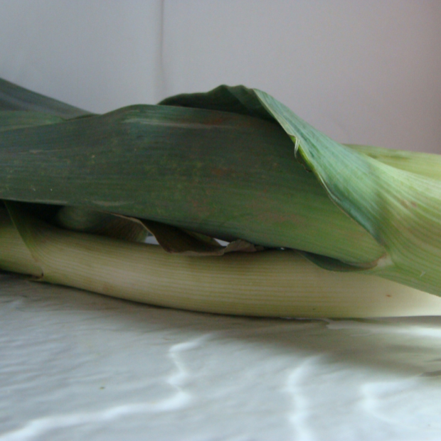 poireau bio- Du Panier à l'Assiette