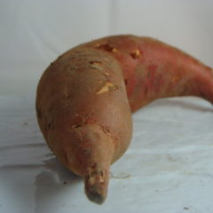 Patate Douce