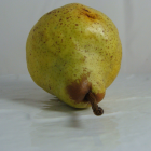 Poire Alexandrine - Du Panier à l'Assiette Poire Alexandrine - Du Panier à l'Assiette