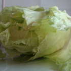 Batavia verte bio- Du Panier à l'Assiette