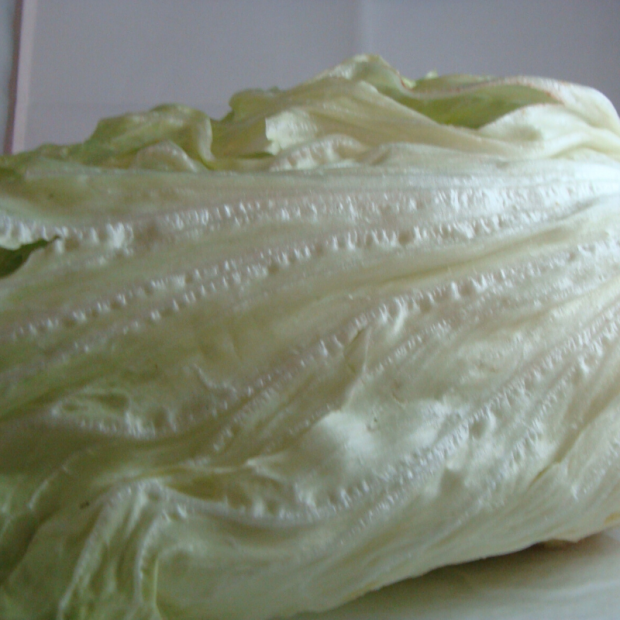 Batavia verte bio- Du Panier à l'Assiette