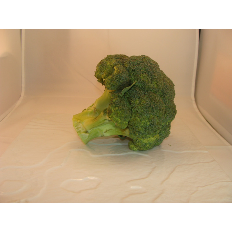 chou brocoli breton bio- Du Panier à l'Assiette chou brocoli breton bio- Du Panier à l'Assiette