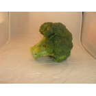 chou brocoli breton bio- Du Panier à l'Assiette chou brocoli breton bio- Du Panier à l'Assiette