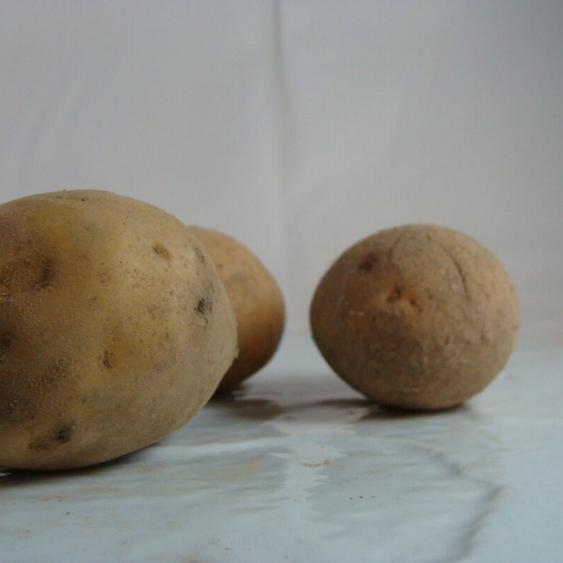 Pomme de terre bio- Du Panier à l'Assiette Pomme de terre bio- Du Panier à l'Assiette