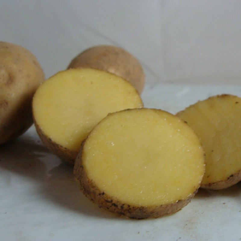 Pomme de terre bio- Du Panier à l'Assiette Pomme de terre bio- Du Panier à l'Assiette