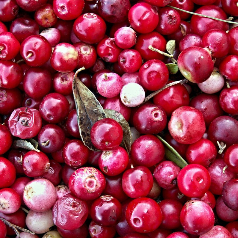 Cranberry Bio - Du Panier à l'Assiette Cranberry Bio - Du Panier à l'Assiette