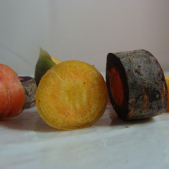 Carottes Couleursx 500g