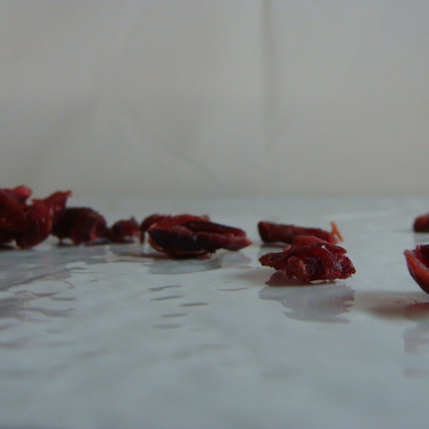 Cranberry Bio - Du Panier à l'Assiette