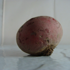 betterave bio- Du Panier &agrave; l'Assiette