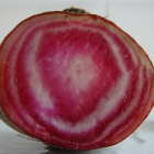 betterave bio- Du Panier &agrave; l'Assiette