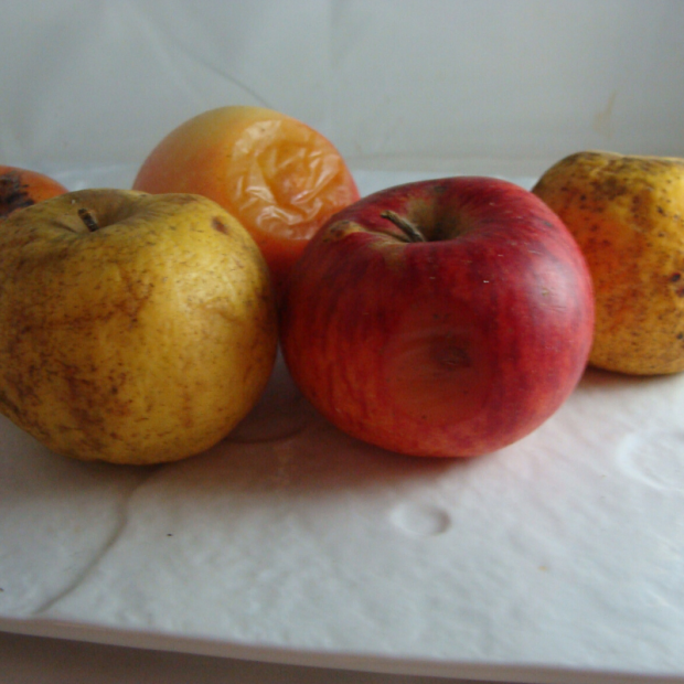 Pomme Goldrush Bio - Du Panier à l'Assiette