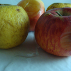 Pomme Goldrush Bio - Du Panier à l'Assiette Pomme Goldrush Bio - Du Panier à l'Assiette