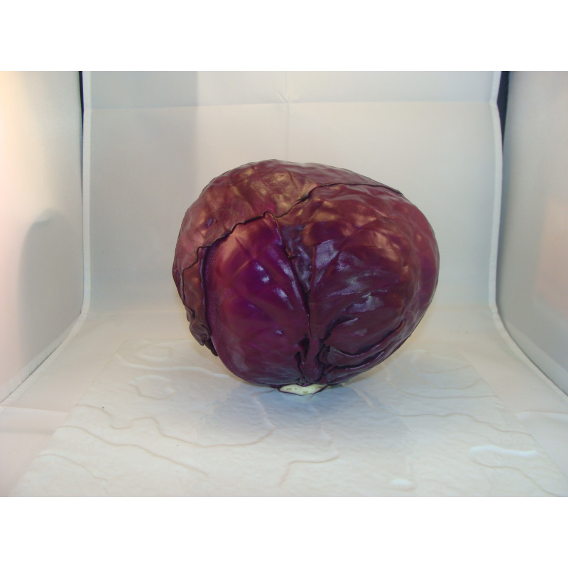 chou rouge breton bio- Du Panier &agrave; l'Assiette