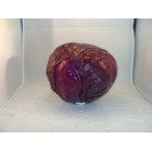 chou rouge breton bio- Du Panier &agrave; l'Assiette