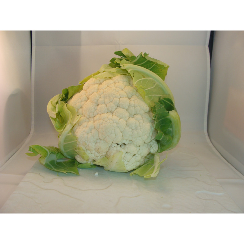 chou fleur breton bio- Du Panier à l'Assiette