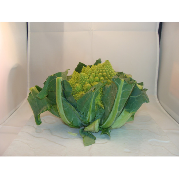 chou romanesco breton bio- Du Panier à l'Assiette