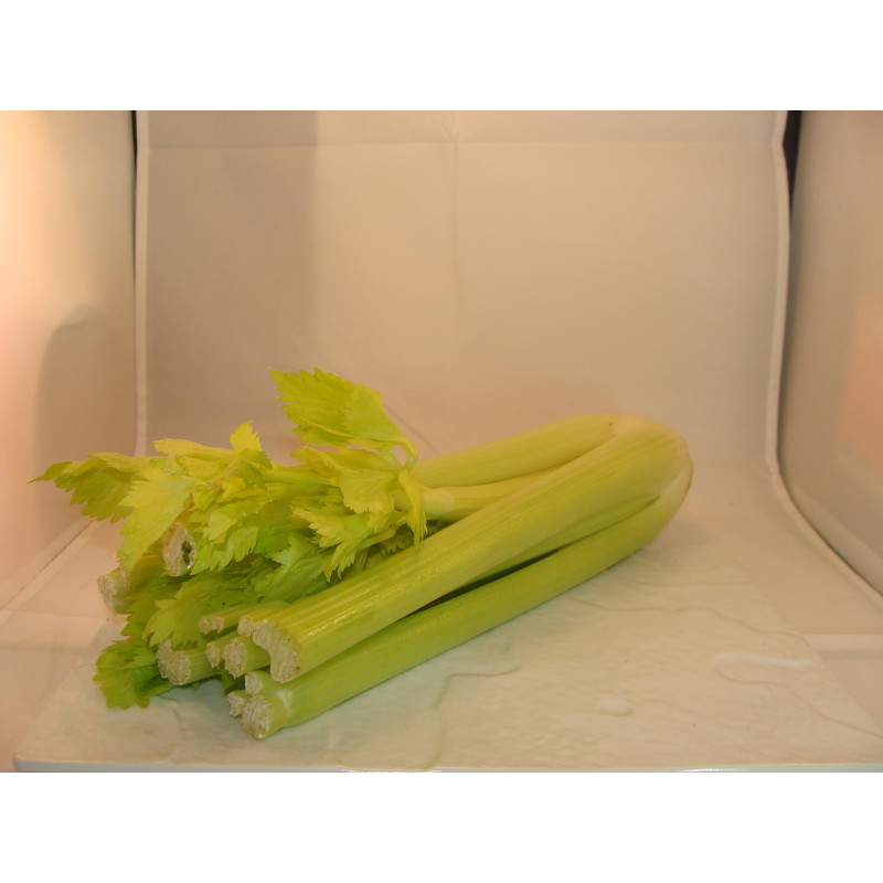 Céleri branche bio- Du Panier à l'Assiette Céleri branche bio- Du Panier à l'Assiette