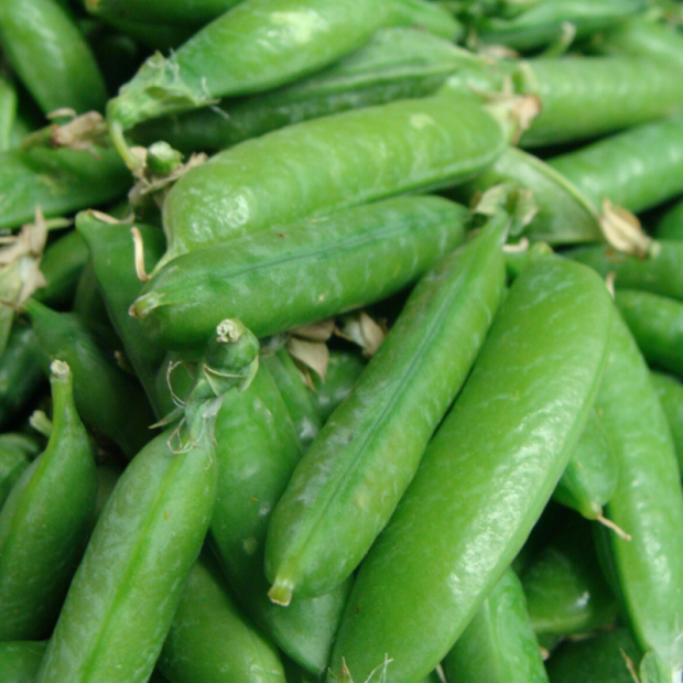 petit pois bio- Du Panier &agrave; l'Assiette