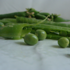 Petit Pois x 500g * Nouveau *