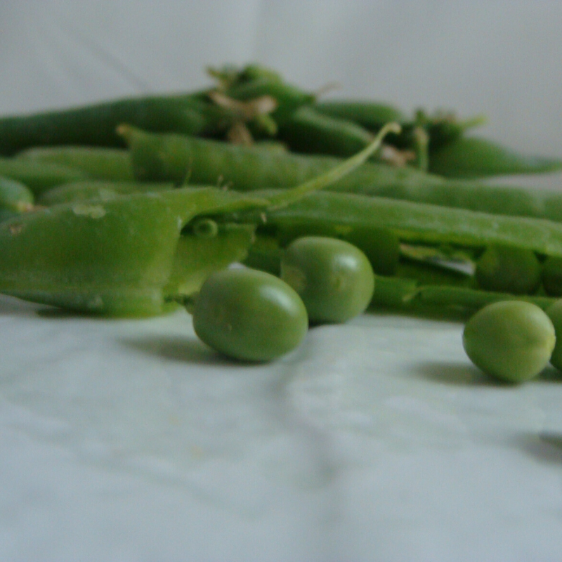 petit pois bio- Du Panier à l'Assiette petit pois bio- Du Panier à l'Assiette