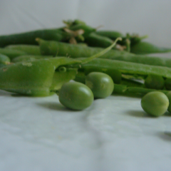 Petit Pois x 500g * Nouveau *