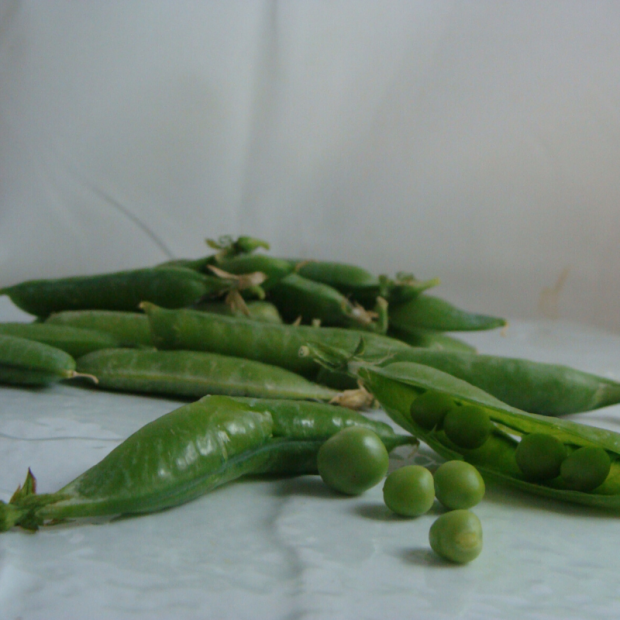 petit pois bio- Du Panier &agrave; l'Assiette