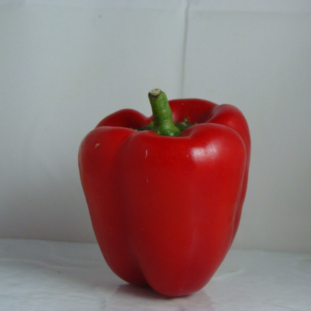 poivron bio- Du Panier à l'Assiette