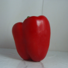 poivron bio- Du Panier &agrave; l'Assiette