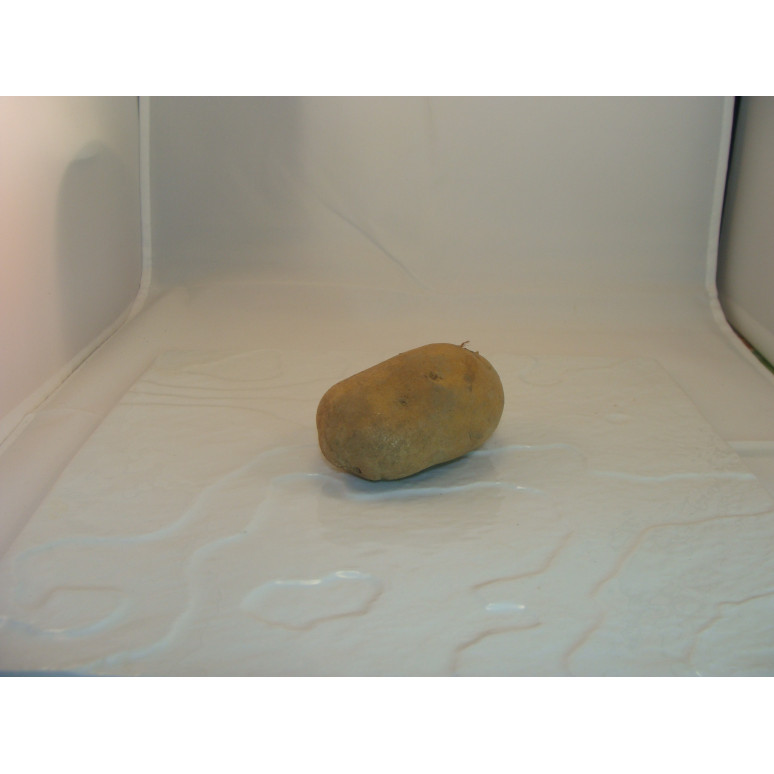 Pomme de terre bio- Du Panier à l'Assiette
