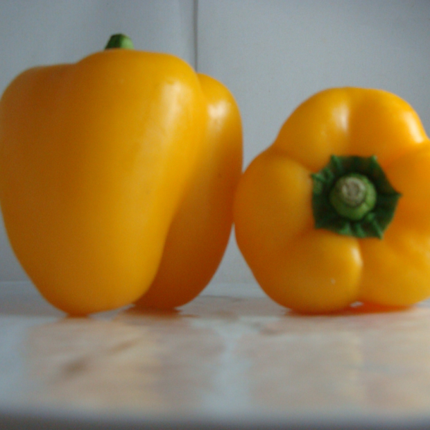 poivron bio- Du Panier à l'Assiette
