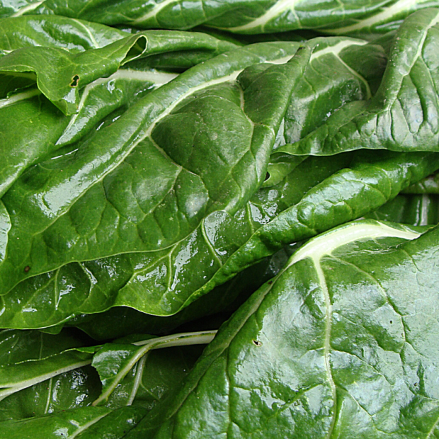 blette bio- Du Panier à l'Assiette