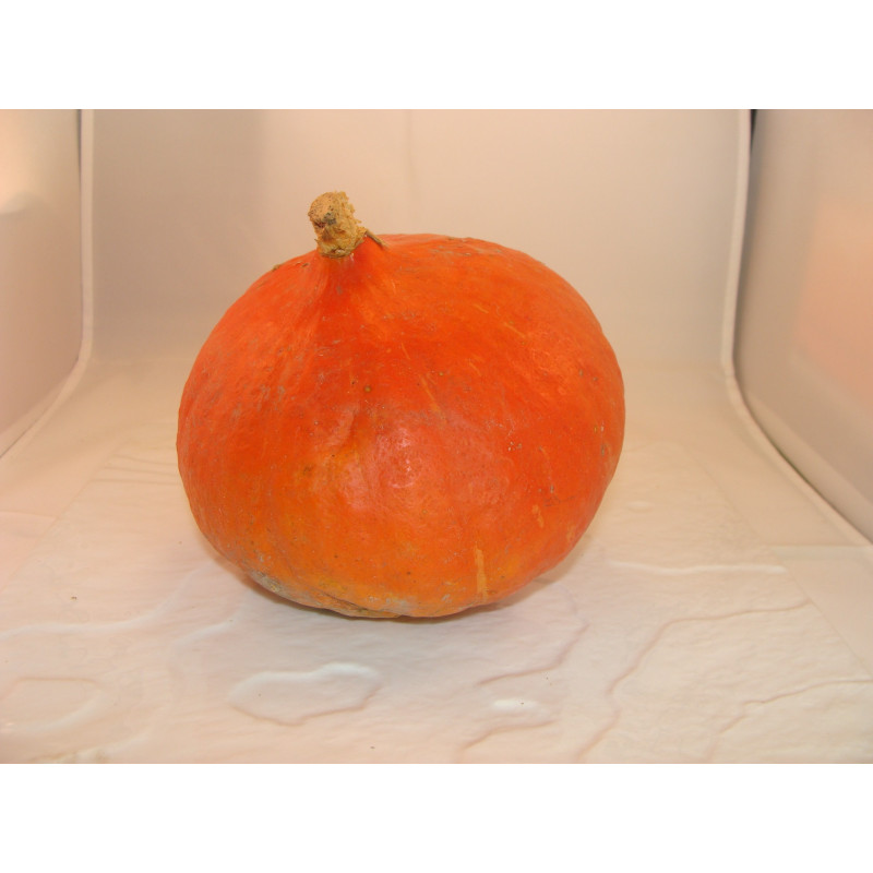 Potimarron orange bio- Du Panier à l'Assiette Potimarron orange bio- Du Panier à l'Assiette