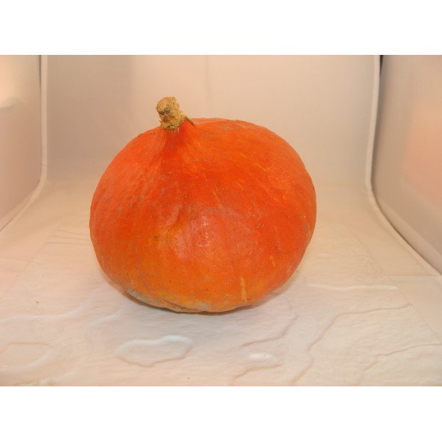 Potimarron orange bio- Du Panier à l'Assiette