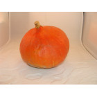 Potimarron orange bio- Du Panier à l'Assiette Potimarron orange bio- Du Panier à l'Assiette