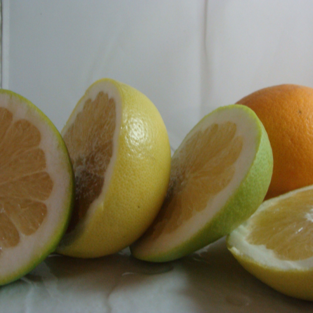 Pomelo rose Bio - Du Panier à l'Assiette