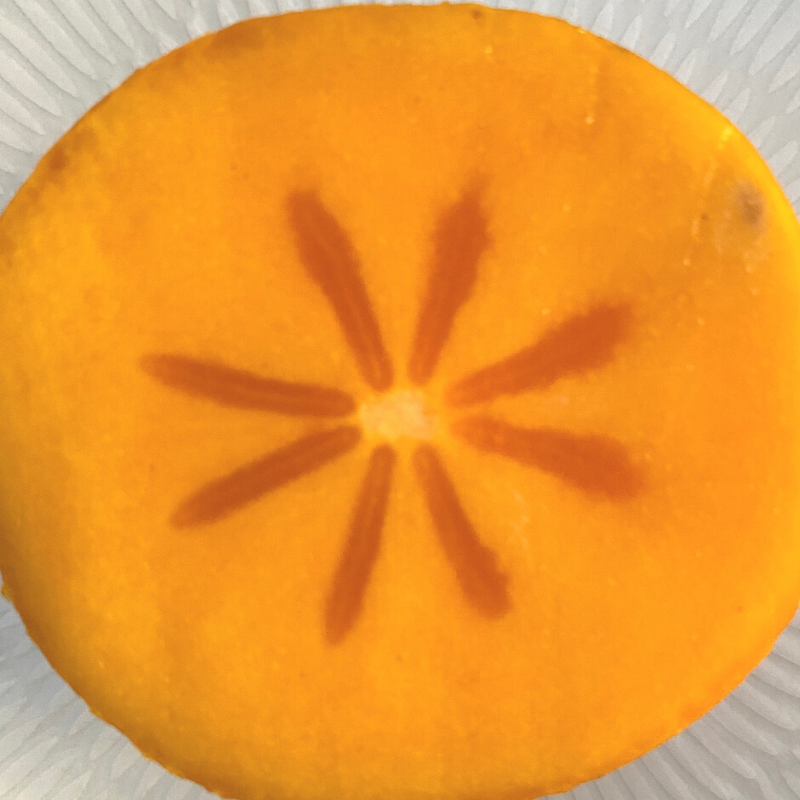 Kaki Bio - Du Panier à l'Assiette Kaki Bio - Du Panier à l'Assiette