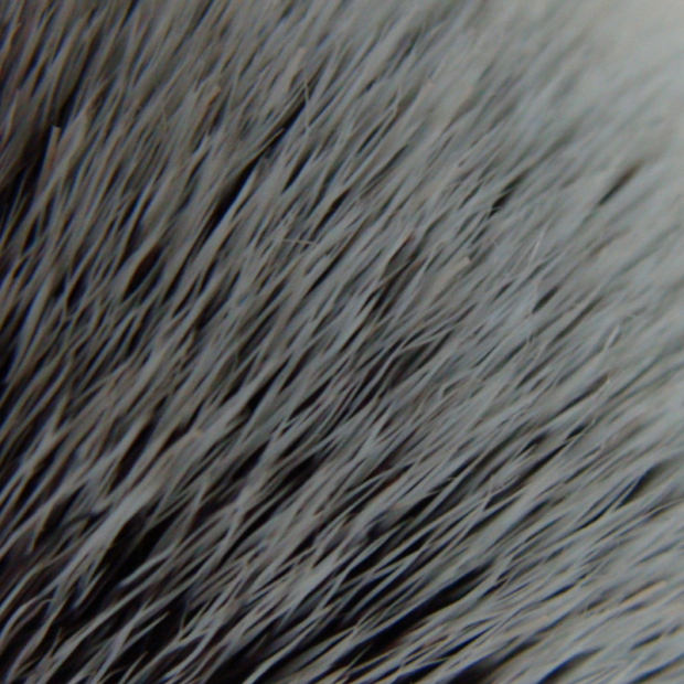 Brosse à Dents - Du Panier à l'Assiette