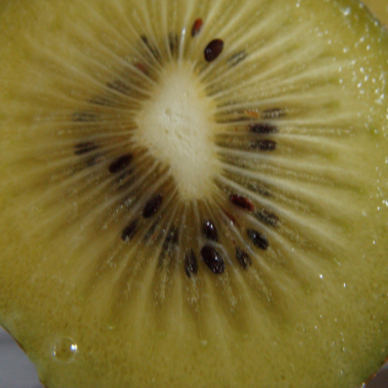 Kiwi jaune Bio - Du Panier à l'Assiette