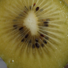 Kiwi jaune Bio - Du Panier à l'Assiette