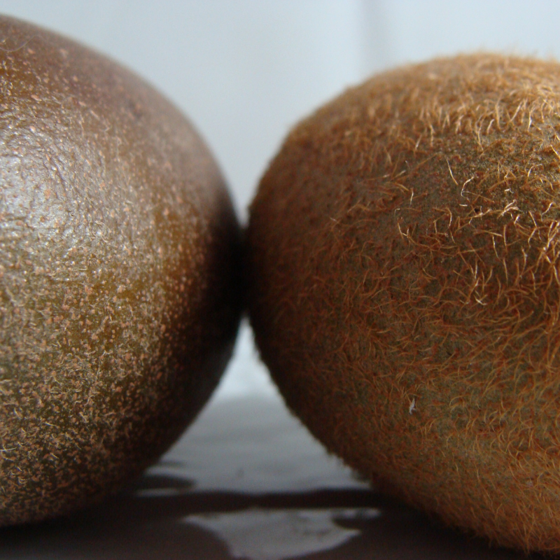 Kiwi jaune Bio - Du Panier à l'Assiette