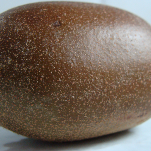 Kiwi jaune Bio - Du Panier à l'Assiette