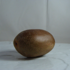 Kiwi jaune Bio - Du Panier à l'Assiette