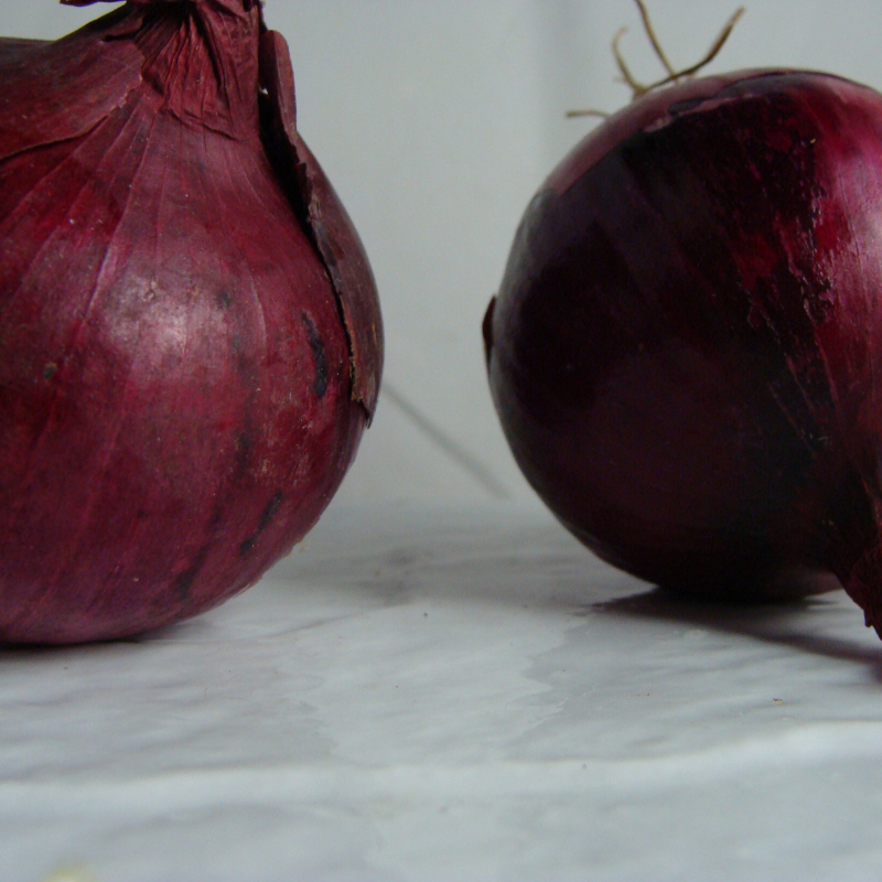 Oignon rouge breton bio- Du Panier à l'Assiette Oignon rouge breton bio- Du Panier à l'Assiette